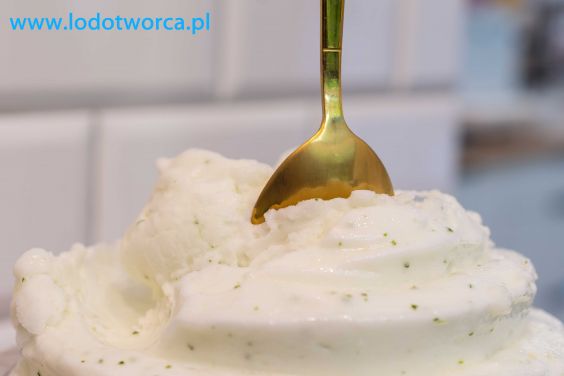 Zniewalające lody Rzeszów