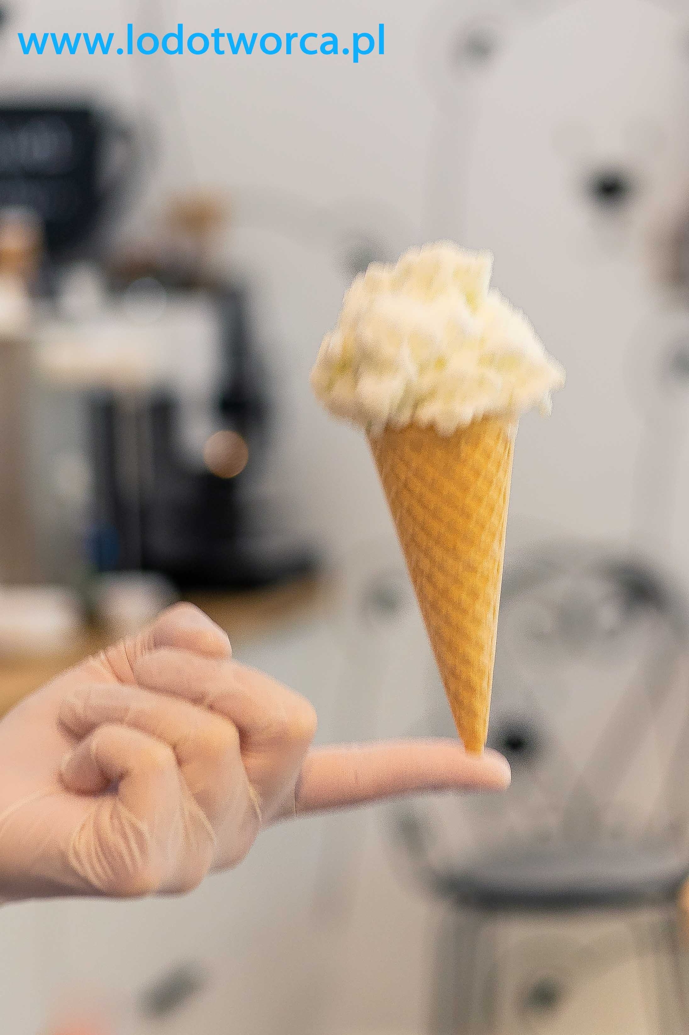 Lody Rzeszów - mojito lodziarnia jogurteria kawiarnia shake milkshake mrożonyjogurt lód włoski sorbet kawa cafe rurki z kremem deser lodowy bita śmietana soki frappe posypki polewy.jpg