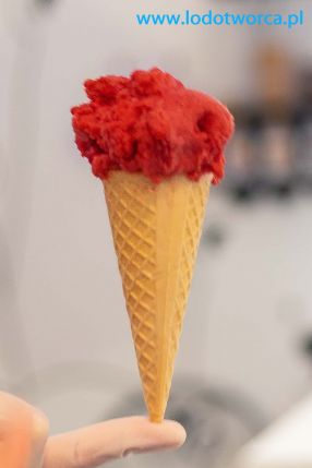 Lody Rzeszów najszczęśliwsza lodziarnia