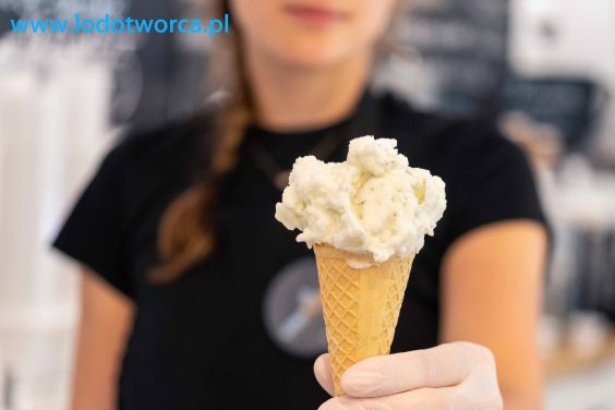 Lody Rzeszów najodpowiedniejsza lodziarnia